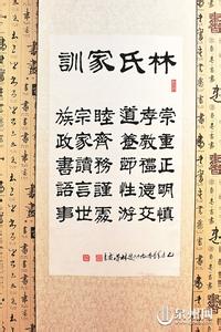 鲁迅平生简介 成舍我 成舍我-?简介，成舍我-人物平生