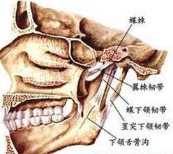 热衰竭的发病机理是 骨髓炎 骨髓炎-发病原因，骨髓炎-发病机理