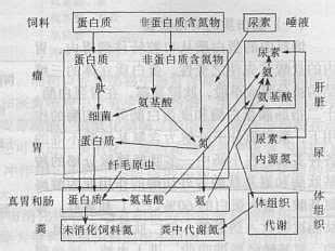 红外特征吸收峰 吸收犯 吸收犯-特征