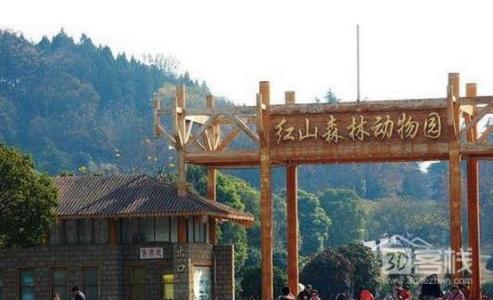 南京红山森林动物园 南京红山森林动物园 南京红山森林动物园-园区概况，南京红山森林