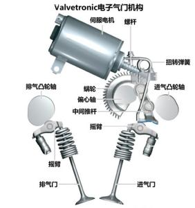 比特犬开气门 开气门