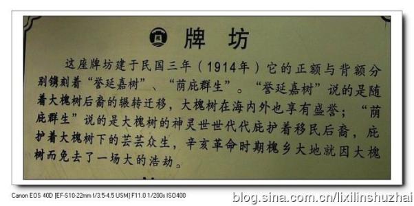 山西洪桐大槐树移民 洪桐移民 洪桐移民-槐树传说，洪桐移民-历史记载