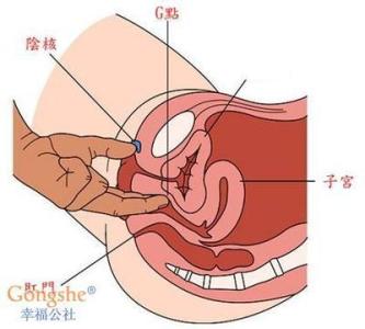 g点威猛液副作用 G点棒 G点棒-结构，G点棒-作用原理