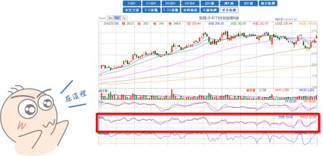 猫舍建立的初衷 RSI RSI-RSI公司，RSI-建立初衷