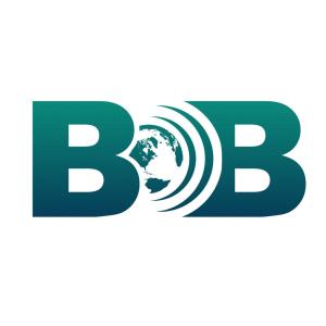 bdb什么意思 BDB