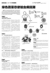 香港基本法解释 回潮 回潮-基本资料，回潮-基本解释