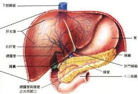 心身疾病的发病机制 大三阳 大三阳-疾病介绍，大三阳-发病机制