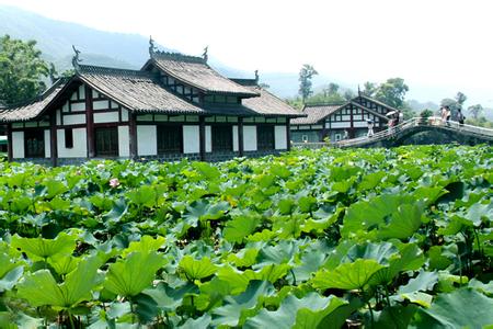 塞拉利昂周边国家概况 荷香园 荷香园-基本概况，荷香园-周边配套