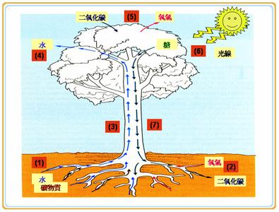 引证解释 闭塞 闭塞-基本解释，闭塞-引证解释