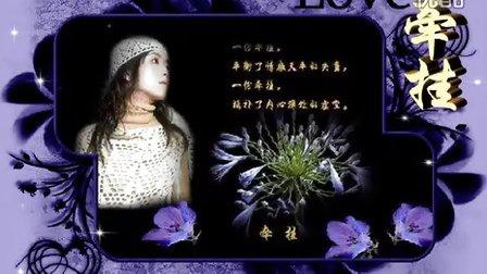 星光灿烂剧情分集简介 牵挂 牵挂-剧情简介，牵挂-分集剧情