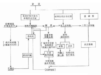 粉尘性质 粉尘 粉尘-产生原理，粉尘-结构性质