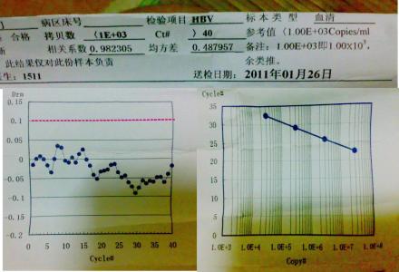 dna复制的基本特征 HBV-DNA HBV-DNA-基本分类，HBV-DNA-复制过程