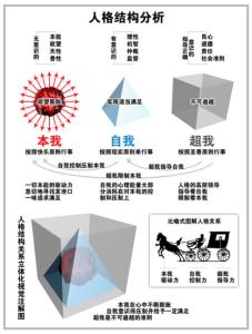 精神分析理论 精神分析学说的理论与评价