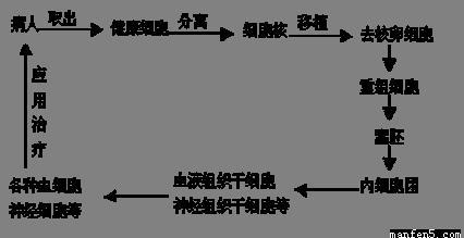 克隆的定义 克隆技术 克隆技术-定义，克隆技术-历史起源