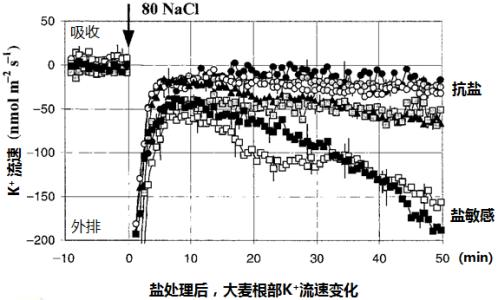 融雪剂原理 融雪剂 融雪剂-种类与性能，融雪剂-融雪原理