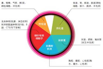 理论分析法的含义 定量分析 定量分析-含义及理论基石，定量分析-特征