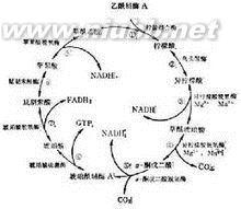 音乐的定义及简介 TCA TCA-简介，TCA-定义