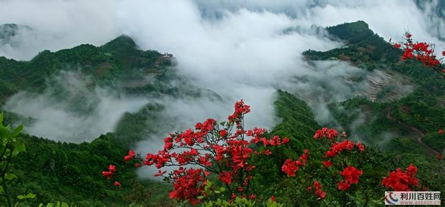 利川苏马荡景区 苏马荡 苏马荡-景区介绍，苏马荡-苏马荡创始人杨正龙