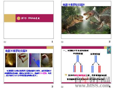 dna分子的基本骨架 DNA2 DNA2-基本信息，DNA2-内容简介