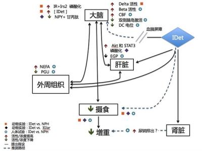 行程倍增机构原理 增重 增重-增重原理，增重-管理机构