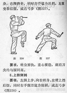 拳法图示步骤练习 捕俘拳 捕俘拳-拳法步骤，捕俘拳-上挡冲拳