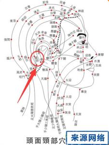 太溪穴位位置图和作用 头窍阴穴穴位位置图及作用