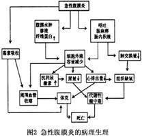 腹泻病理生理分类 腹膜炎 腹膜炎-疾病分类，腹膜炎-病理生理