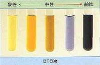 溴香草 btb btb-溴瑞香草酚蓝试剂，btb-分支目标缓冲