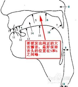 如何唱出颤音 如何唱颤音？