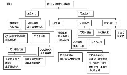 肺心病属于病理过程吗 肺心病 肺心病-概述，肺心病-病因病理