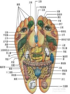 怎么按摩脚底视频教程 脚底穴位图按摩（详解）
