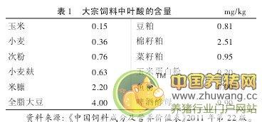 叶酸的生理功能 叶酸 叶酸-基本内容，叶酸-生理功能