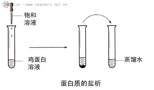 盐析结晶 盐析 盐析-定义，盐析-盐析结晶原理