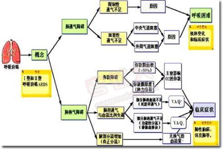 呼吸衰竭病因 呼吸衰竭 呼吸衰竭-概述，呼吸衰竭-病因