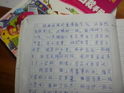 三年级第一场雪300 字 第一场雪作文300字