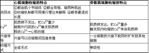 肌小节 肌小节 肌小节-基本内容