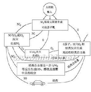 负重效应 负重效应 负重效应-基本概述，负重效应-管理启示