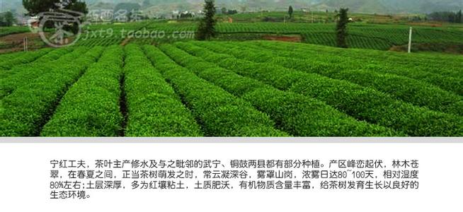 生态环境养鸡场简介 宁红茶 宁红茶-茶叶简介，宁红茶-生态环境