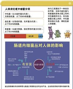 崔玉涛图解家庭育儿 崔玉涛图解家庭育儿 崔玉涛图解家庭育儿-简介，崔玉涛图解家庭育