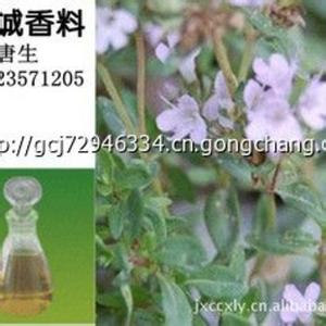 百里香精油 百里香精油 百里香精油-本质，百里香精油-历史使用记录