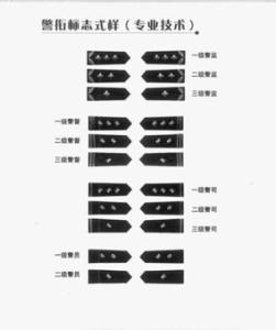 二级警司是什么职位 二级警司 二级警司-职位区别