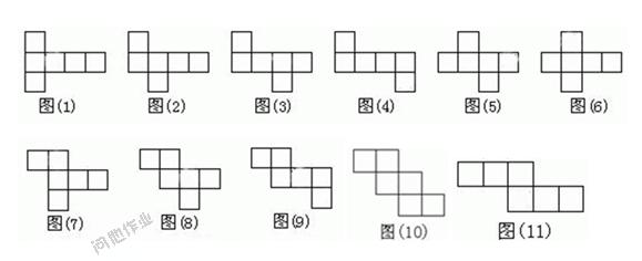 中华稻蝗 蛩 蛩-简介，蛩-台湾稻蝗