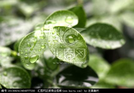 露水是怎么形成的 露水 露水-释义，露水-形成