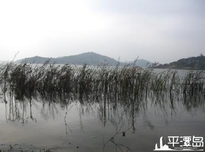 汽车的由来和发展概况 三十六脚湖 三十六脚湖-景区概况，三十六脚湖-名称的由来