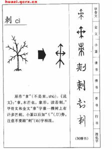 汉字偏旁部首笔顺笔画 箔 箔-部首笔画，箔-字义