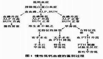 老年精神疾病病因 高钙血症 高钙血症-概述，高钙血症-疾病病因