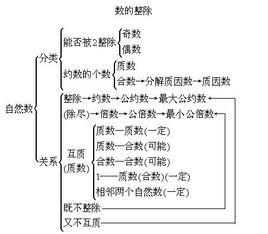 二分类变量定义 整数定义 整数定义-一、定义，整数定义-二、分类