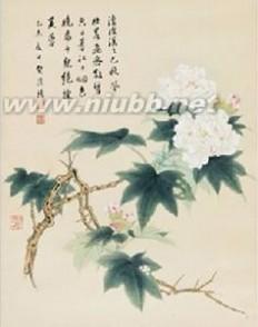 芙蓉花 芙蓉 芙蓉-芙蓉释意，芙蓉-芙蓉花