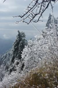 冰晶顶 冰晶顶 冰晶顶-基本内容，冰晶顶-简介