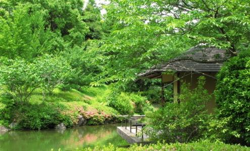 园林植物病虫害防治 园林植物病虫害防治 园林植物病虫害防治-电力出版社版本，园林植